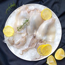 통오징어해물탕