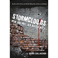 Stormclouds: New Friends Old Differences Paperback, O'Brien Press