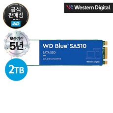 [공식판매점] WD Blue SA510 M.2 SATA SSD 2TB, WDS100T3B0B