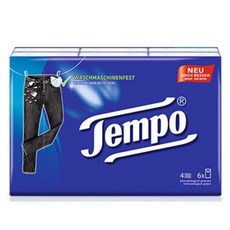 템포텍