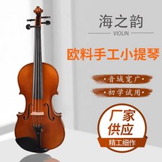 바이올린 유럽재질 수공 실목 꽃무늬 연주급 대학 수업 급수시험 공연, T01-4/4