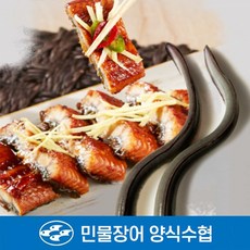 민물장어양식수협