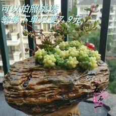 조약돌가습기