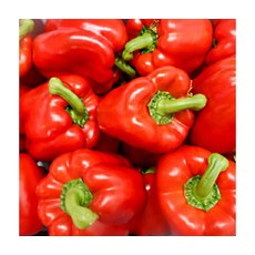 농협 비타민풍부 신선 파프리카 2kg (빨강), ONE COLOR, ONE SIZE