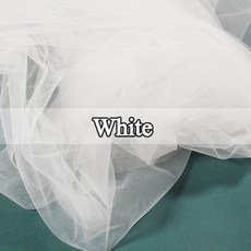 증명사진배경지