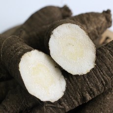 [햇님농장] 제주도 검은 흙 더덕(특) 1kg, 1개, 단품