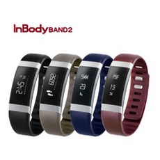 인바디밴드2