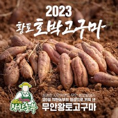 착한농부무안고구마(상생) [착한농부] 무안 호박고구마 3.5kg+3.5kg, 1