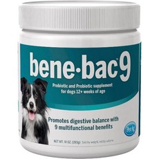 PetAg 비니백9 BeneBac 283g 강아지 유산균, 기본