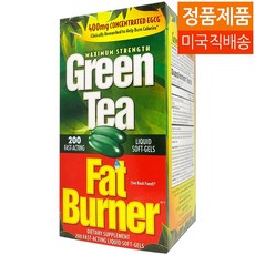 Applied Nutrition 그린티 (녹차) 팻 버너 Green Tea Fat Burner 200정 기타 다이어트식품