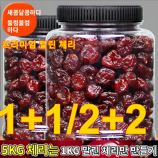 1+1 말린체리 건체리 말린체리칠레산 무설탕 건체리100% 체리, (1+1)캔/총0.5kg, 2개