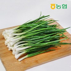 농협선별 신선한 쪽파 600g 1kg, 01.신선한 쪽파 600g, 1개