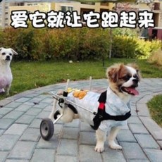 바구니카시트방풍커버