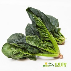 시금치