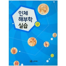 인체해부학컬러링실습노트