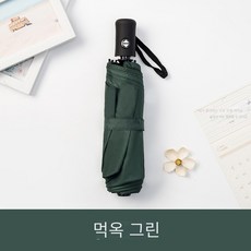 카본우산