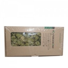 플라워디퓨저원데이클래스