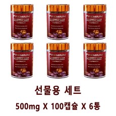 (태국 교민가) 프리미움 검은생강 끄라차이담 100정, 6박스, 500mg