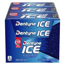 덴타인 아이스 검 페퍼민트 대용량 16개입X12개 총192개 Dentyne Ice Gum, 1개