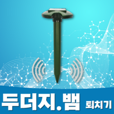 유해사이트차단공유기