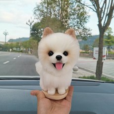 고양이전신제작