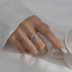 부쉐론커플링