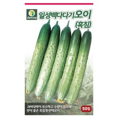 흑침백다다기오이