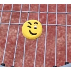 윌슨롤랑가로스댐프너