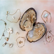 리얼진주조개체험키트