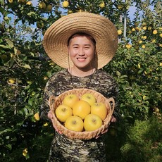 경북 2023년 햇 황금사과 시나노골드, 정품 / 대과 / 10kg / 40~50과, 1개
