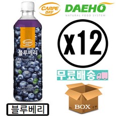 까르페 블루베리 차 1000ml X 6개 액상 과일 음료 아이스티 원액