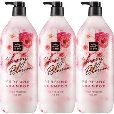 미쟝센체리블라썸