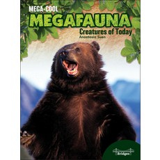 Mega Creatures of Today Paperback, Bridges, English, 9781731643155