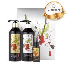 사임당콜라겐