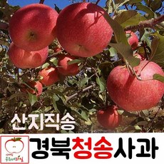 //상품명
