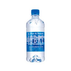 이즈브레 500ml 24병 노르웨이 빙하수 용천수 수입 생수, 24개