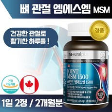 엠스토어종합쇼핑몰