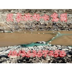 해외 [통발]어망저하망어망인망저인망어구망호구망새장어망팔자-10206, 02.가로 3m 높이 1m 꼬리 2