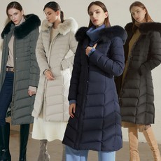 폭스퍼구스다운