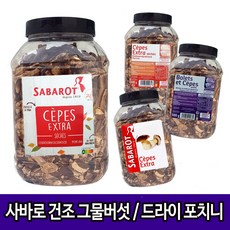 포르치니버섯