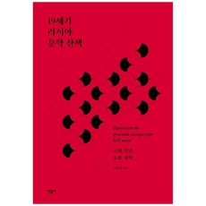 [민음사] 19세기 러시아 문학 산책 근대 인간 소설 속악 [양, 없음