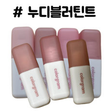 컬러그램 누디 블러 틴트, 1개, 5g, 1. 살구살몬