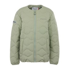 디스커버리픽토르s