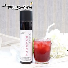 허브나래 백년초열매 식초 백년초 500ml, 1개