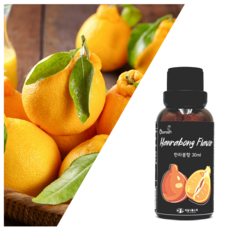 식자재왕식혜농축액