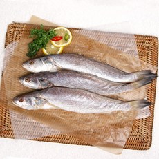 [착한어부] 반건조 민어 1미(대) / 35-40cm, 상세 설명 참조