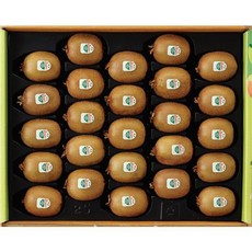 아이폰13사전예약
