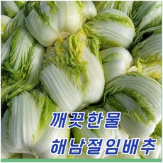 강성푸드 달고 아삭한 땅끝 해남 절임배추 10kg 20kg, 12월21일 목요일도착