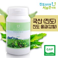 진도울금 진도 울금(강황) 환 300g 농부가 직접재배 진도장모와 서울큰사위, 1개