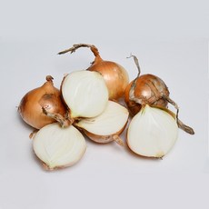 [한끼 양념채소] 양파 3kg 5kg 도전, 장아찌 양파 5kg, 1개